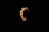 Portrait Urns logo symbol